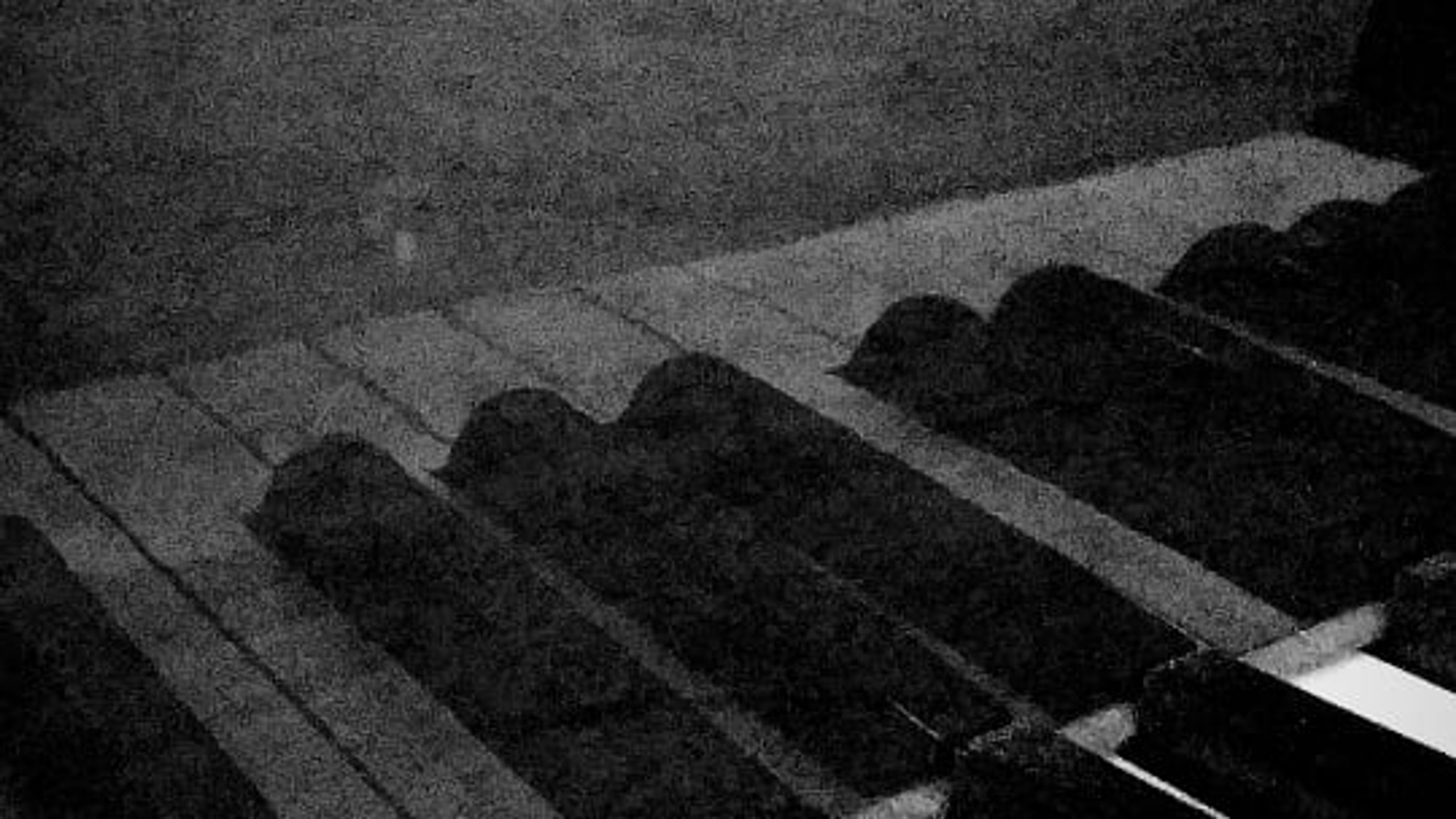 Sottnik Music